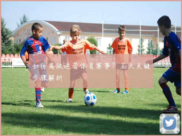如何高效运营体育赛事?五大关键步骤解析